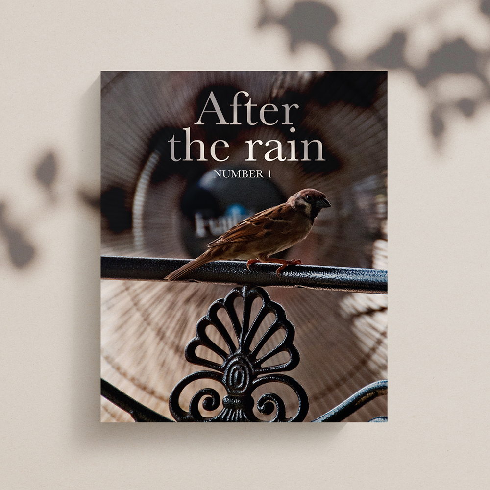 After+The+Rain+Square+Mockup